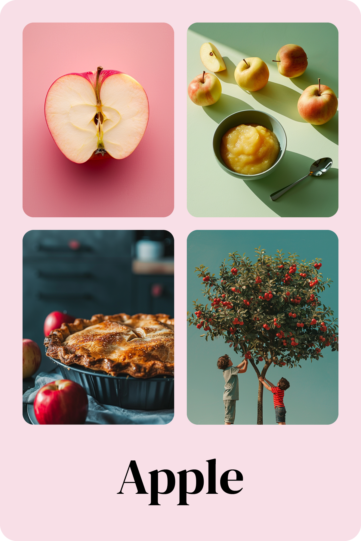 Card Layouts Front S3 ROUNDED3.png